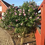 Hos Mette 3* Børkop