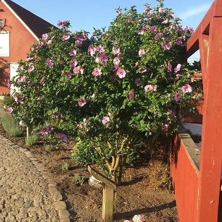 Hos Mette 3* Børkop