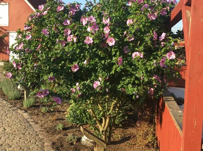 Hos Mette 3* Børkop