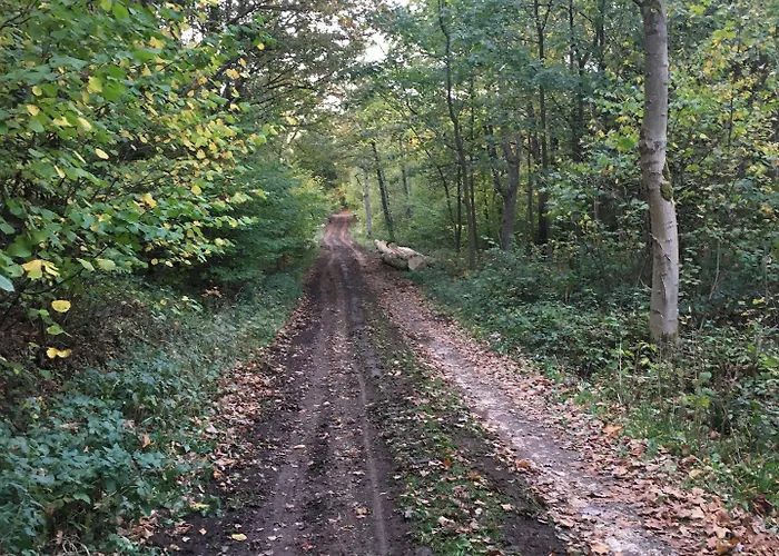 Couette-café Hos Mette Børkop